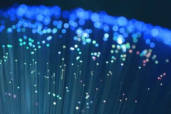 fiber optik ağ kablosu