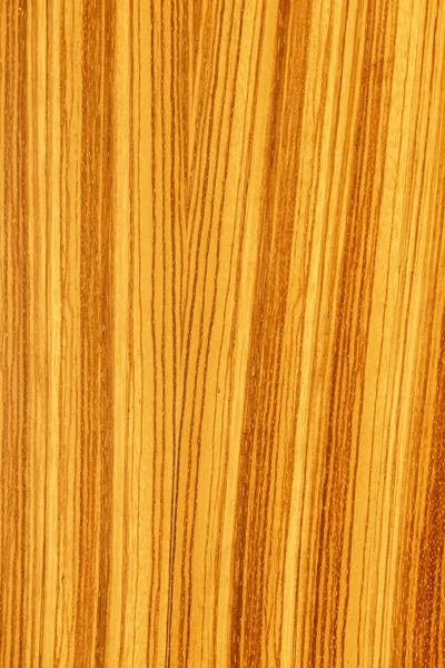 Дерево текстури деревини — стокове фото