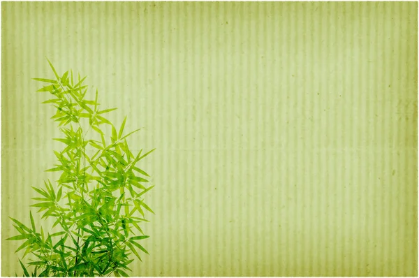 Бамбук на старом фоне текстуры гранж-бумаги — стоковое фото