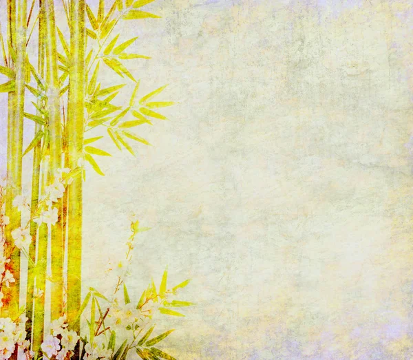 Kağıt doku bambu ve Erik çiçeği antik üzerinde kırık — Stok fotoğraf