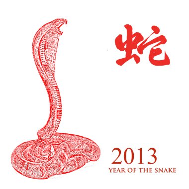 Yeni yıl yılan 2013 silüeti