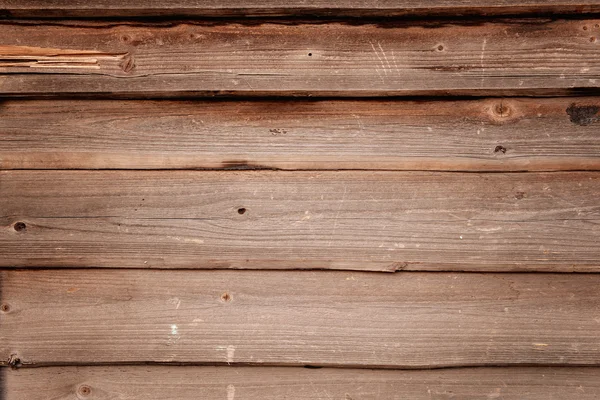 Texturas de madera de árbol — Foto de Stock