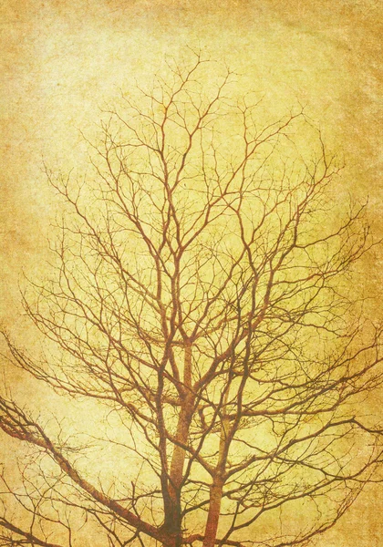 アンティーク古いグランジ テクスチャを持つツリー — ストック写真