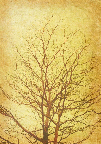 Arbre avec texture vieux papier grunge antique — Photo