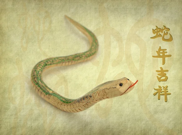Китайская каллиграфия 2013: Год змеи — стоковое фото
