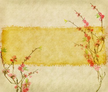 Eski antika kağıt arka planda erik çiçeği