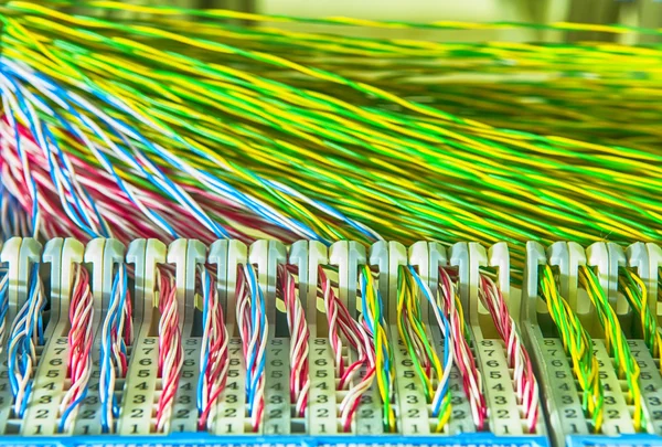 Network cables patch panel and switch — Stock Photo, Image