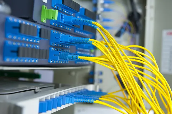 Vlákno optické síťové kabely patch panel a spínač — Stock fotografie