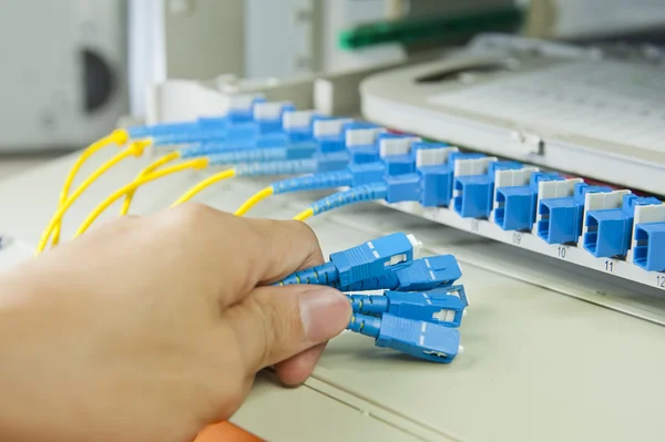 Vlákno optické síťové kabely patch panel a spínač — Stock fotografie