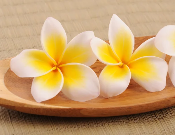 Frangipani and polished stone on bamboo mat — Stock Photo, Image