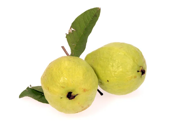 Fruta de guayaba aislada sobre fondo blanco — Foto de Stock