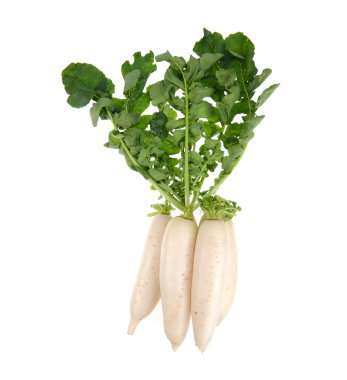 daikon turpları beyaz arkaplanda izole edilmiş
