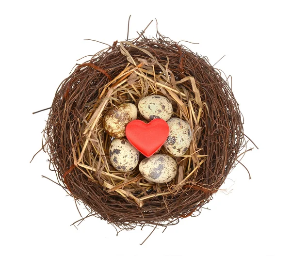 Nest mit rotem Herz und Ei — Stockfoto