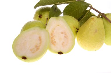 Guava meyvesi beyaz arkaplanda izole