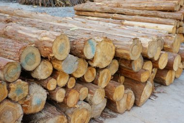 eski ahşap doku arkaplanı