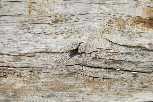 Fondo de textura de madera vieja —  Fotos de Stock