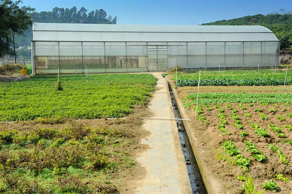 Serra in azienda — Foto Stock