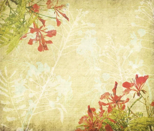 Павичі квіти на дереві зі старовинним старовинним паперовим фоном — стокове фото