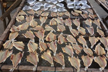 Fish drying in the sun.Drying fish meat clipart