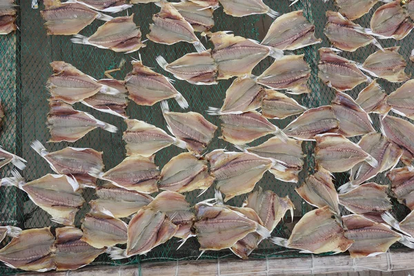 Hal, szárítás a napon. Szárítási hal hús — Stock Fotó