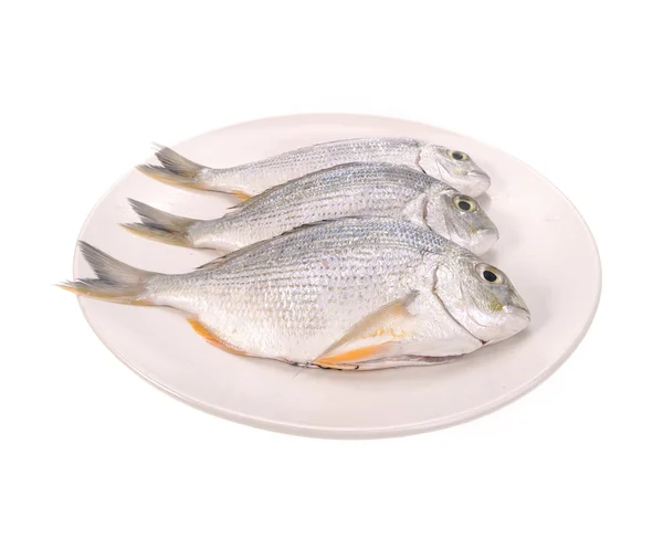 Рыба в тарелке — стоковое фото