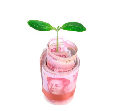 Green plant leaf growing on money, money of china clipart