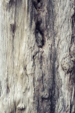 eski ahşap doku arkaplanı