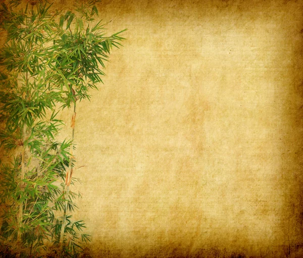 Bamboo on old grunge paper texture background — Stock Photo, Image