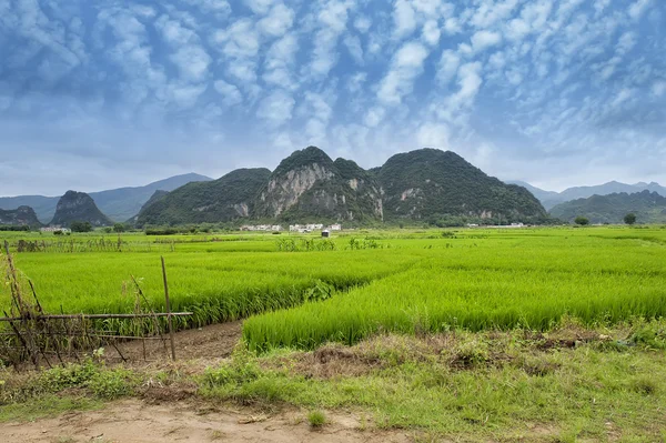 Landskap i Yangshuo Guilin, Kina — Stockfoto