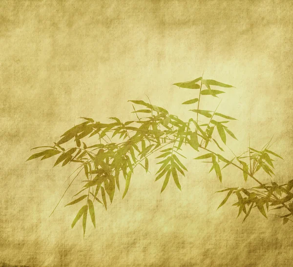 Bambú sobre fondo de textura de papel grunge viejo — Foto de Stock
