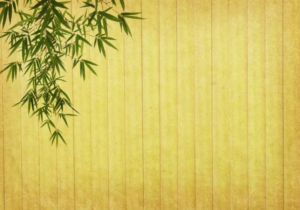 古いグランジ紙の質感の背景に竹 — ストック写真