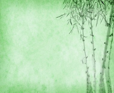 Eski grunge kağıt doku arka planında bambu