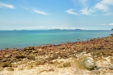 Resiflerin güzel doğal cazibesi