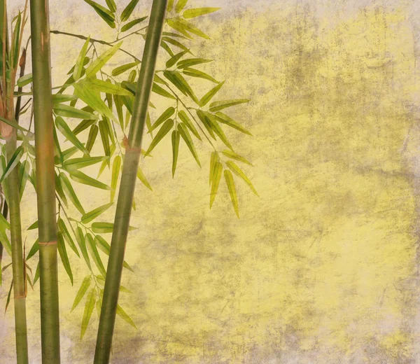 竹の古い紙のテクスチャ — ストック写真