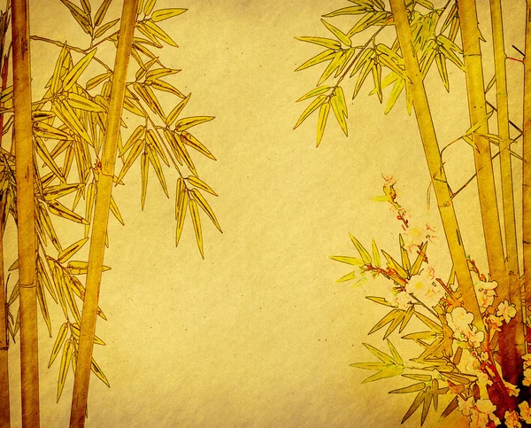 旧纸张纹理与竹 — 图库照片