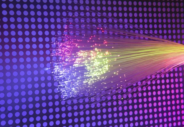 fiber optik ağ kablosu