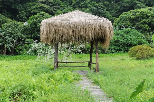 草のバンガロー — ストック写真