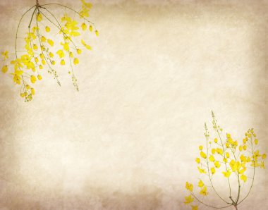 Wisteria eski kağıt grunge zemin üzerine boyalı