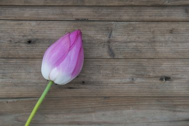 Ahşap arka planda buket nilüfer tomurcukları