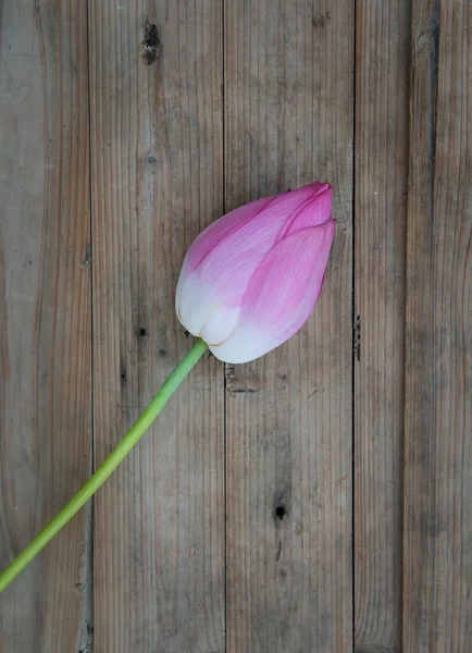 Bukiet lotosu pąki na tle drewna — Zdjęcie stockowe