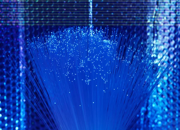 Glasfaser-Netzwerkkabel — Stockfoto