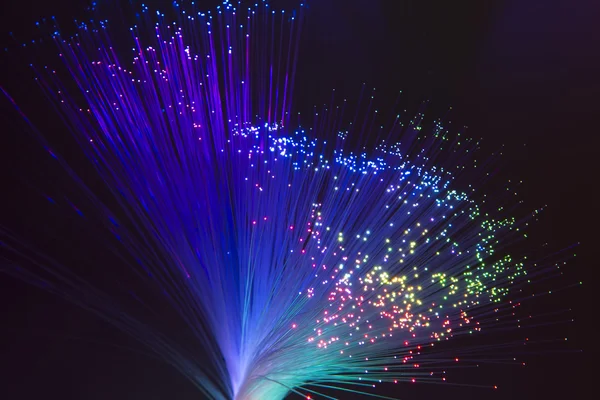 Fiber optical network cable — Stock Photo, Image