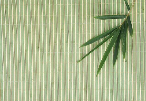 Liście bambusa izolowane na białym tle — Zdjęcie stockowe