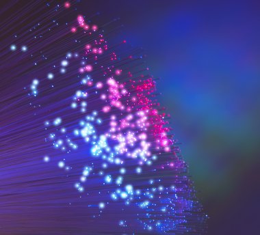 fiber optik ağ kablosu