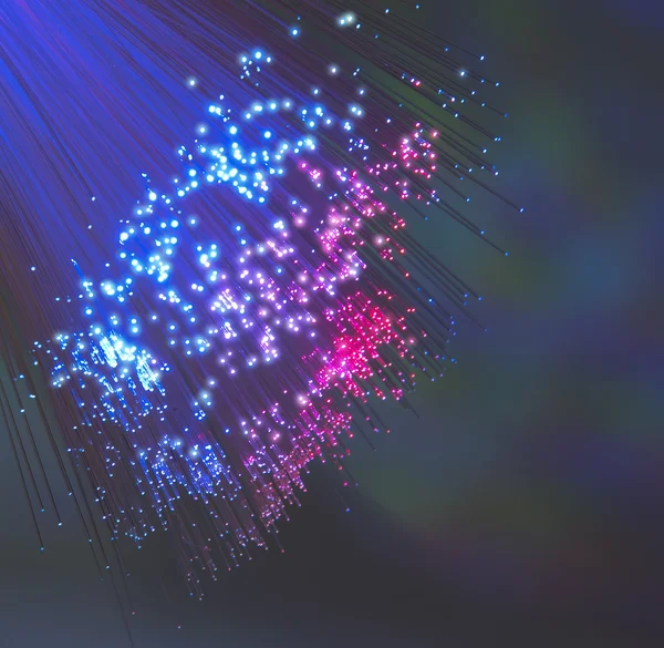 fiber optik ağ kablosu