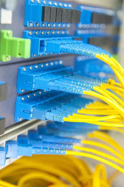 Överföring av optisk fiber informationsteknik. — Stockfoto