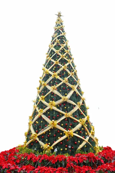 Árbol de Navidad — Foto de Stock