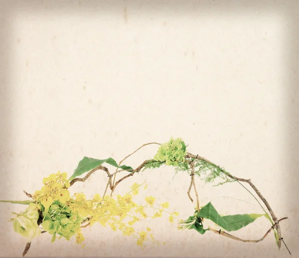 Flor amarilla con hojas de enredadera (uva de vid) sobre papel usado — Foto de Stock
