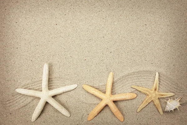 Estrella de mar y conchas con marco en la playa, recuerdos de vacaciones — Foto de Stock
