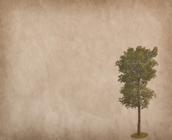 Pohon dengan tekstur kertas antik grunge lama — Stok Foto